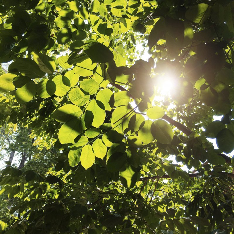 luz solar jardin