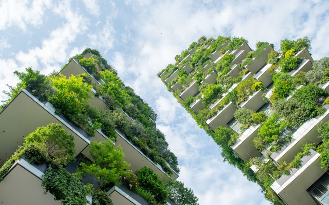 Consejos para crear espacios más ecológicos y eficientes energéticamente.
